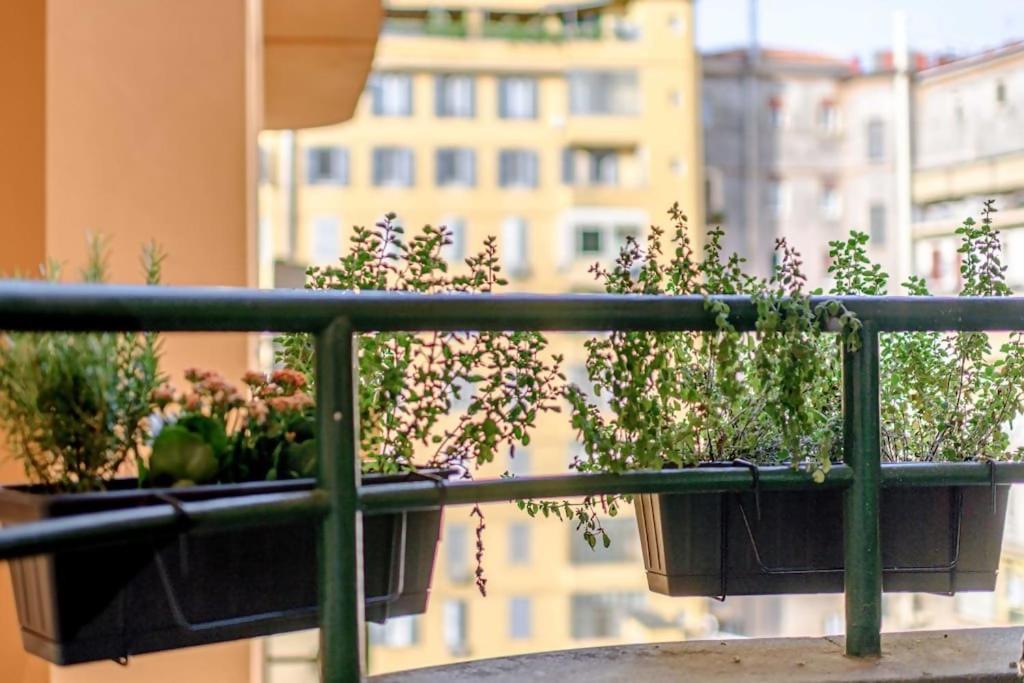 Riboty 10 Suites Roma Esterno foto